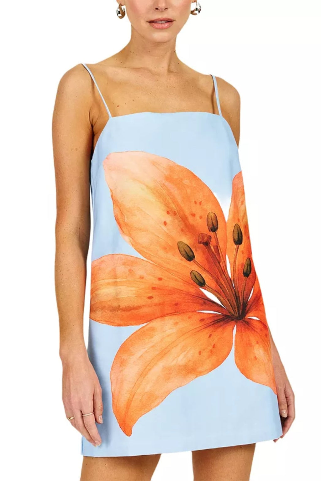 Avah Mini Dress