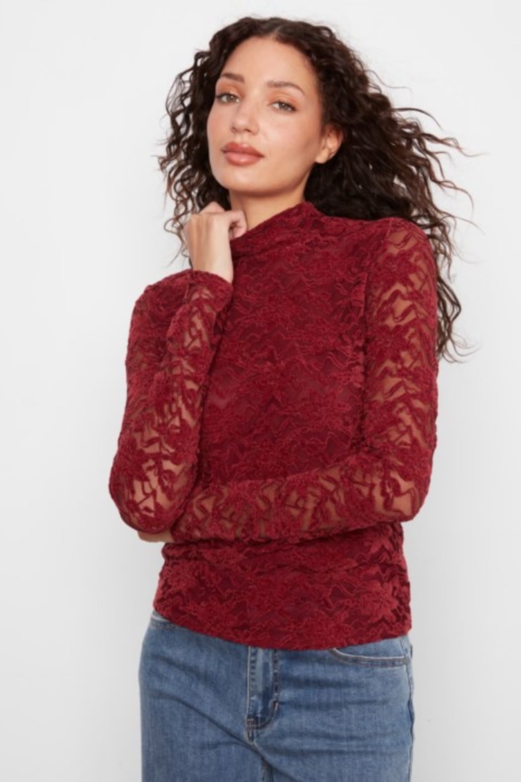 Flocked Lace Mock Neck Top