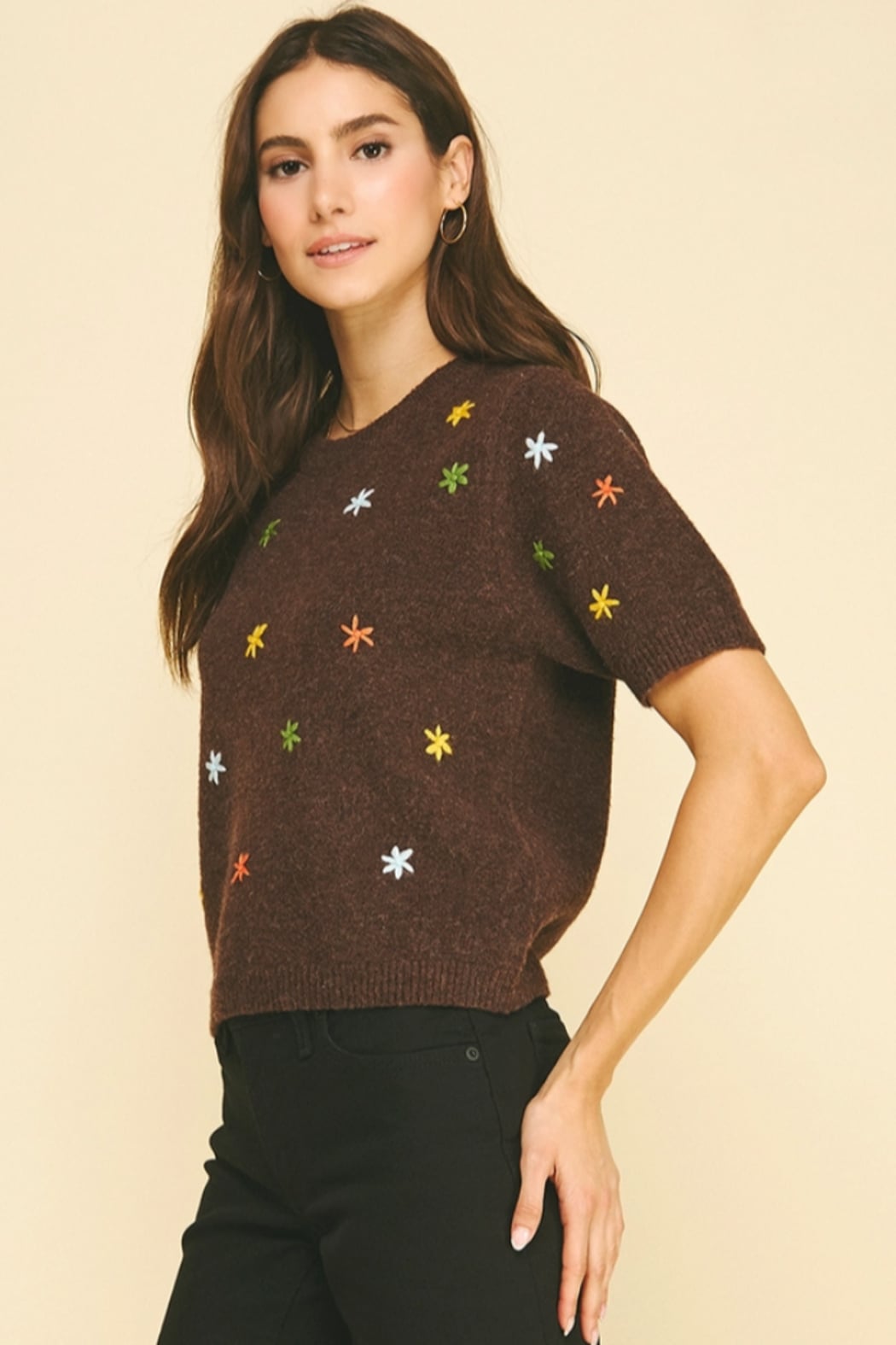 Floral Embroidered Short Sleeve Sweater