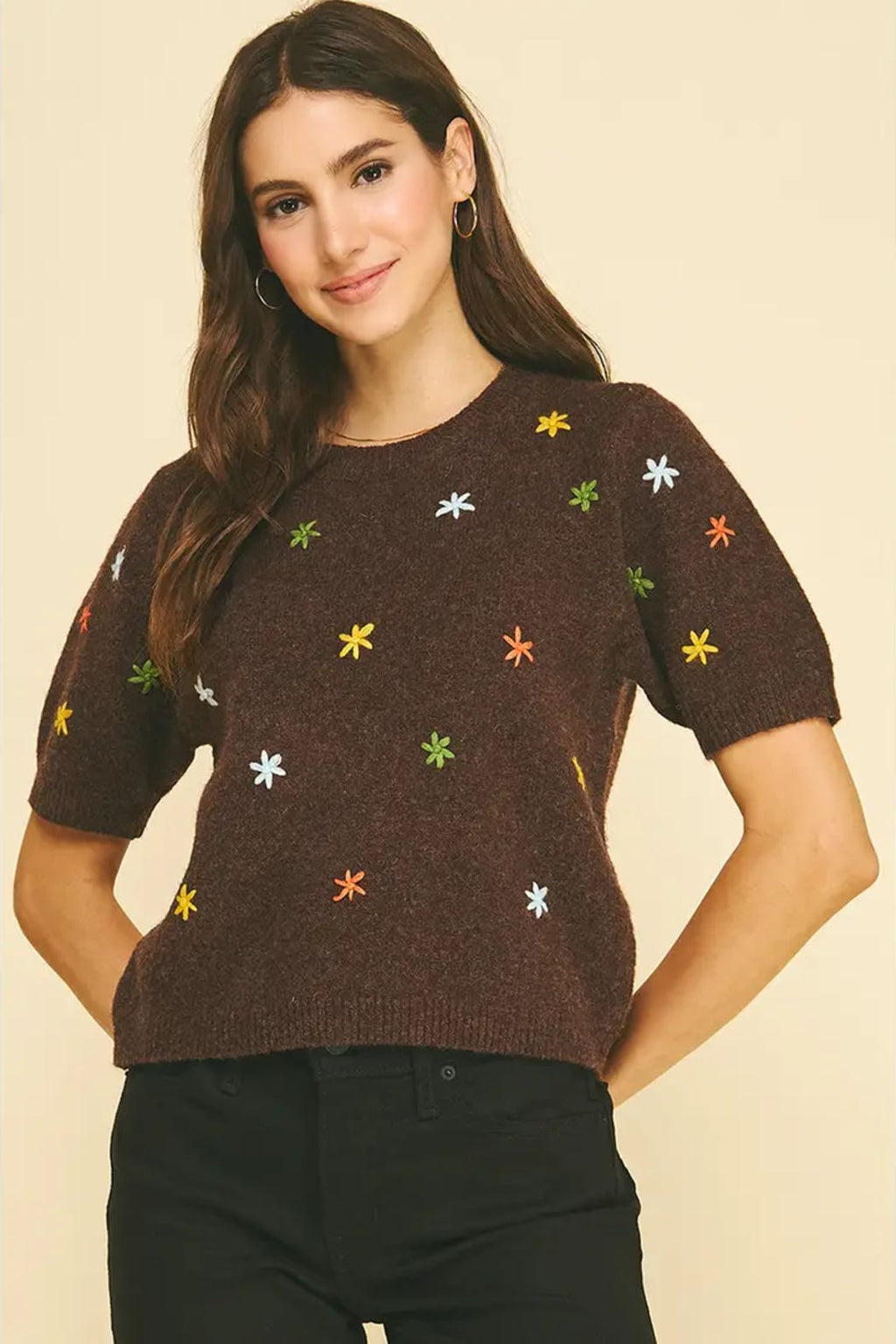 Floral Embroidered Short Sleeve Sweater