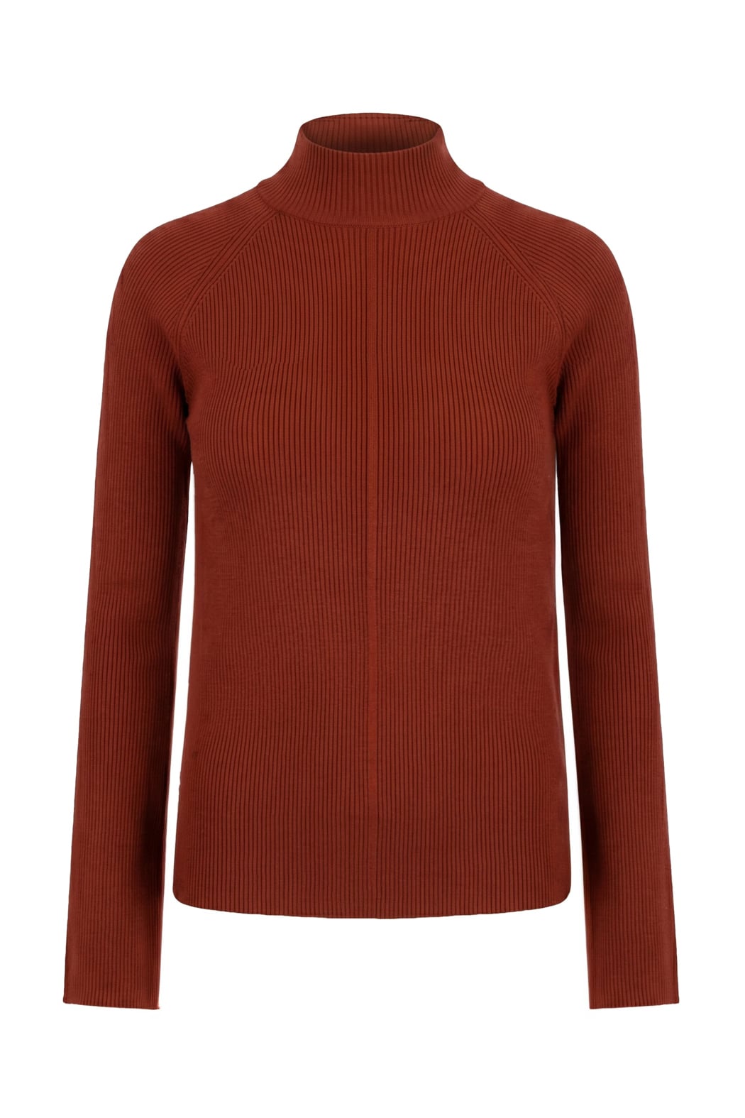 Long Sleeve Flare Turtleneck
