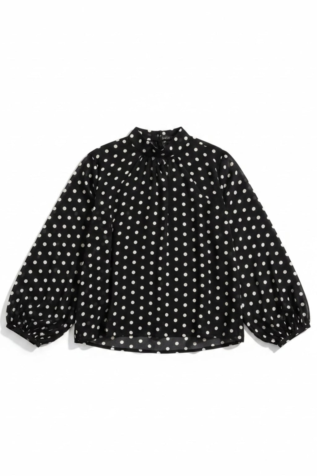 Polka Dot Sheer Blouse