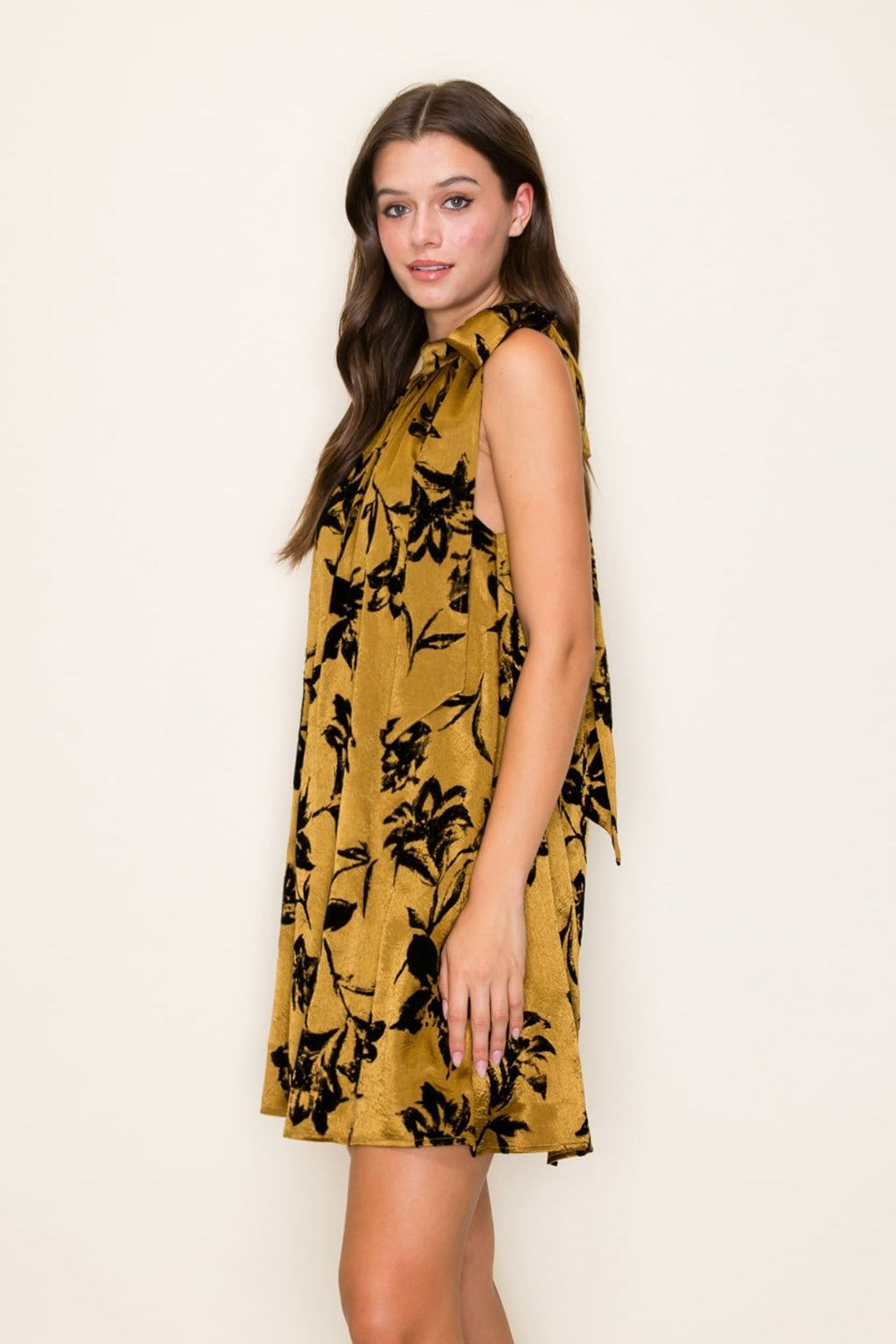 Velvet Sass dress